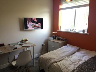 Picture 10